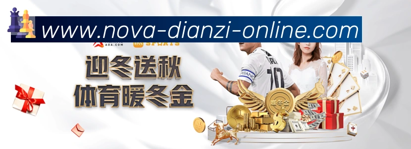未来规划